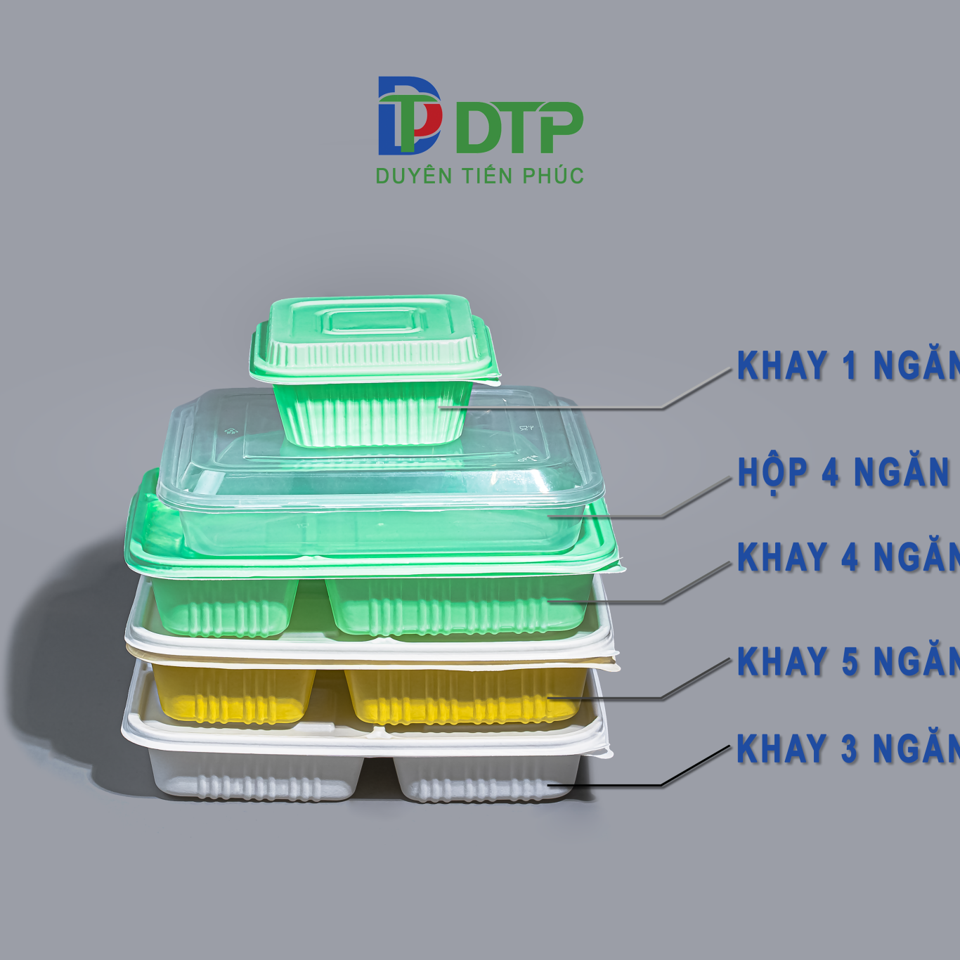 PLASTIC TRAY (MULTIPLE COMPARTMENTS)